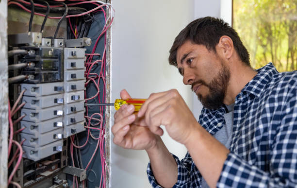 Best Electric Panel Repair  in Pleasant Hills, MD
